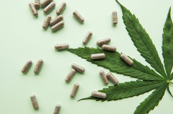 Les bénéfices de la plante de chanvre : un regard sur ses impacts positifs sur la santé